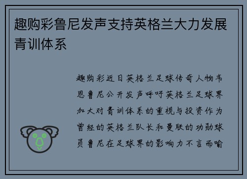 趣购彩鲁尼发声支持英格兰大力发展青训体系
