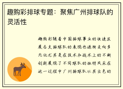 趣购彩排球专题：聚焦广州排球队的灵活性